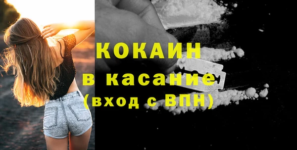 spice Богородицк