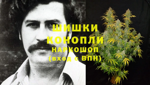 spice Богородицк