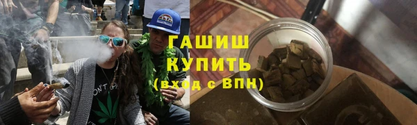 spice Богородицк