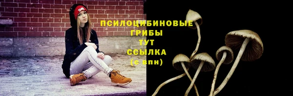 тгк Баксан