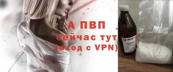 гашик Балахна