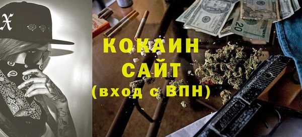 spice Богородицк